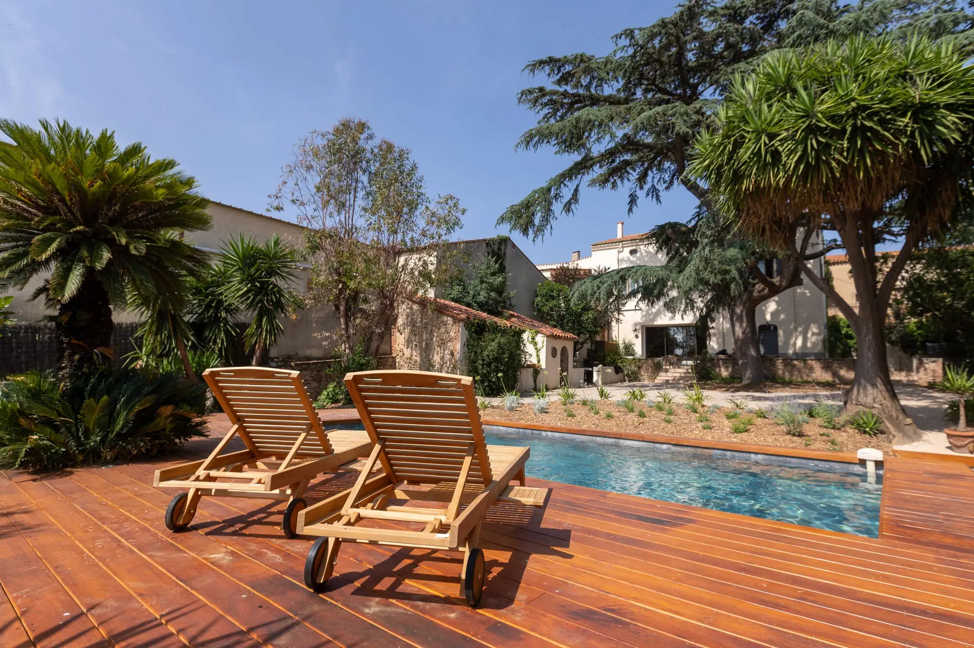 La Bastide du Cèdre – piscine et vignes, Tresserre