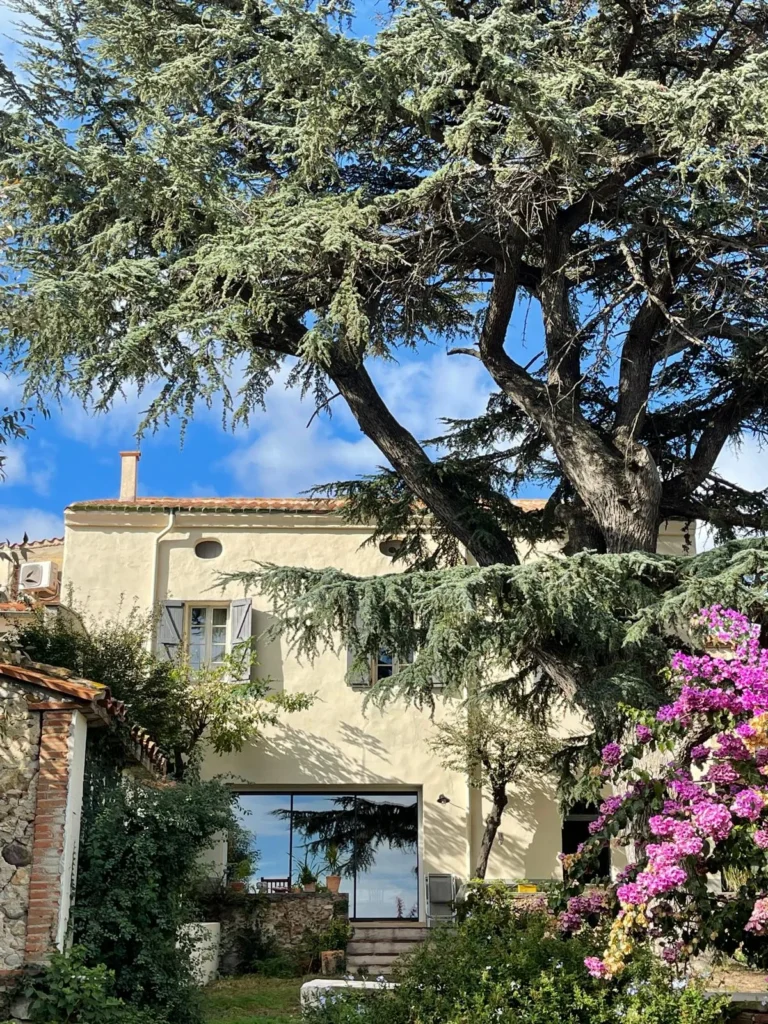 Garden and grounds – Le Domaine du Mas du Cèdre
