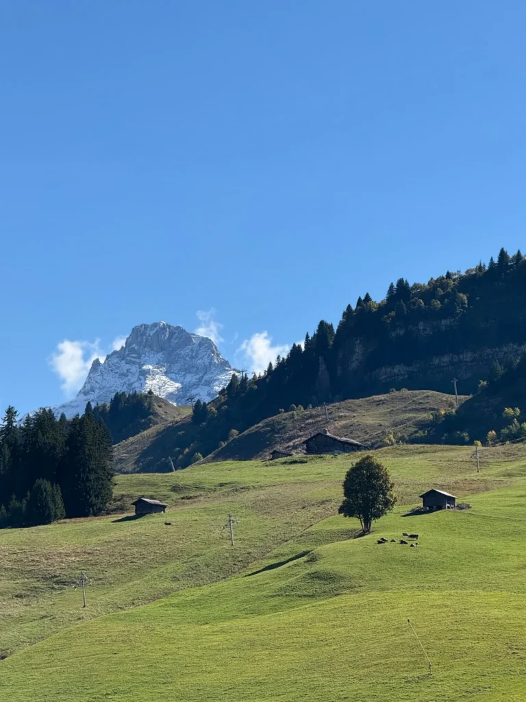 The residence – Chinaillon 1350