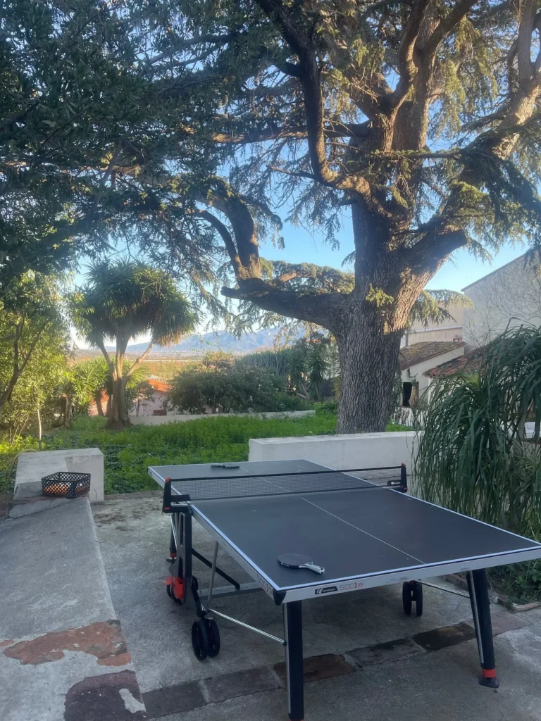 Ping-pong table – Le Domaine du Mas du Cèdre