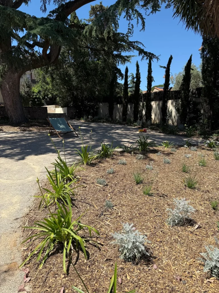 Garden and grounds – Le Domaine du Mas du Cèdre