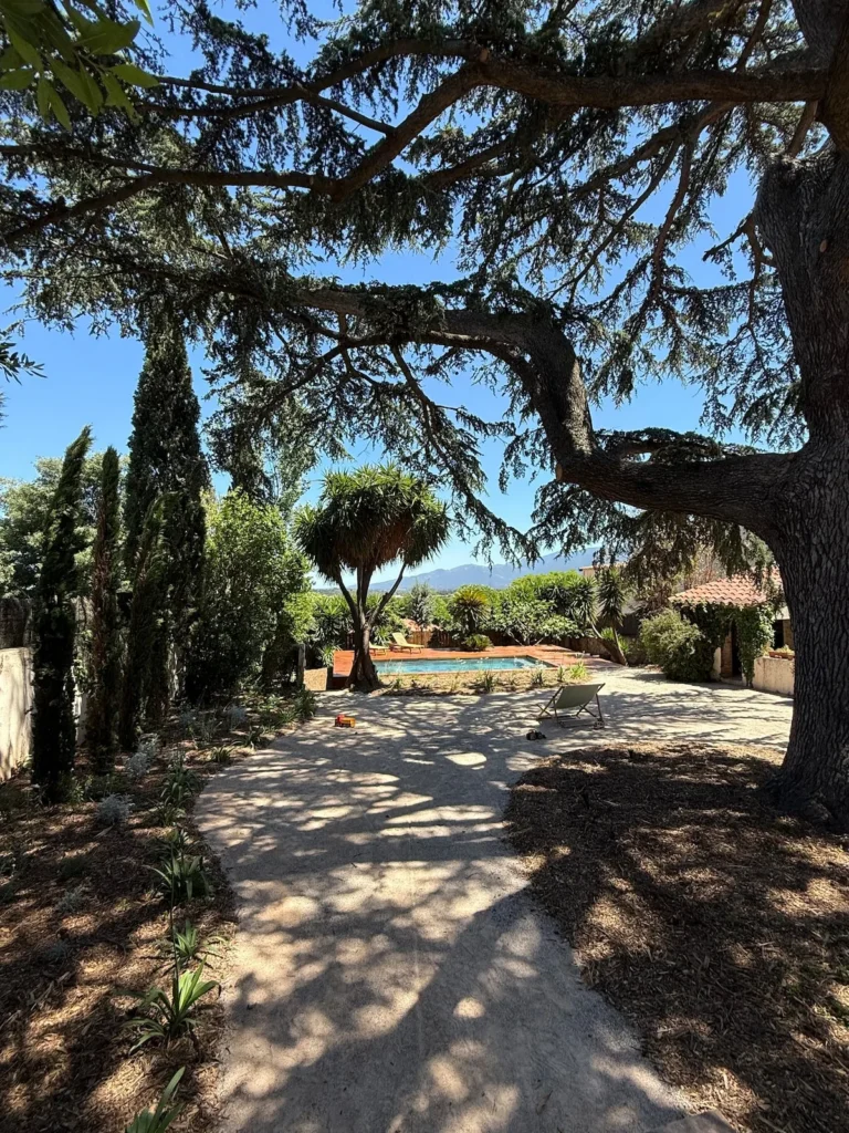 Garden and grounds – Le Domaine du Mas du Cèdre