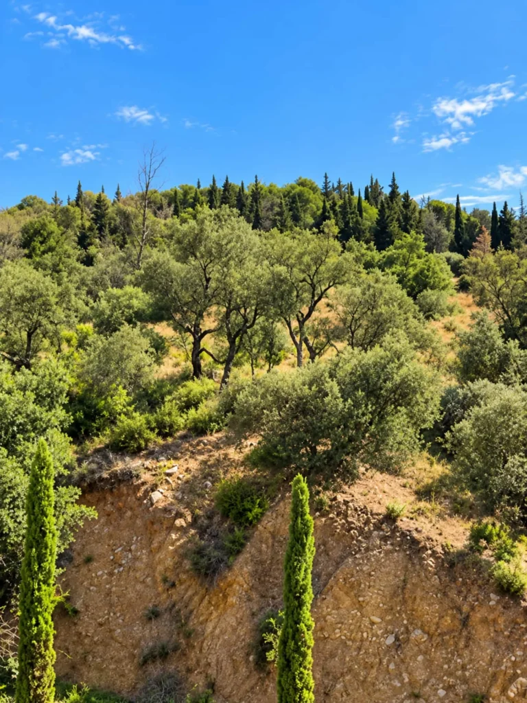 Garden – Le Domaine de la Subérine