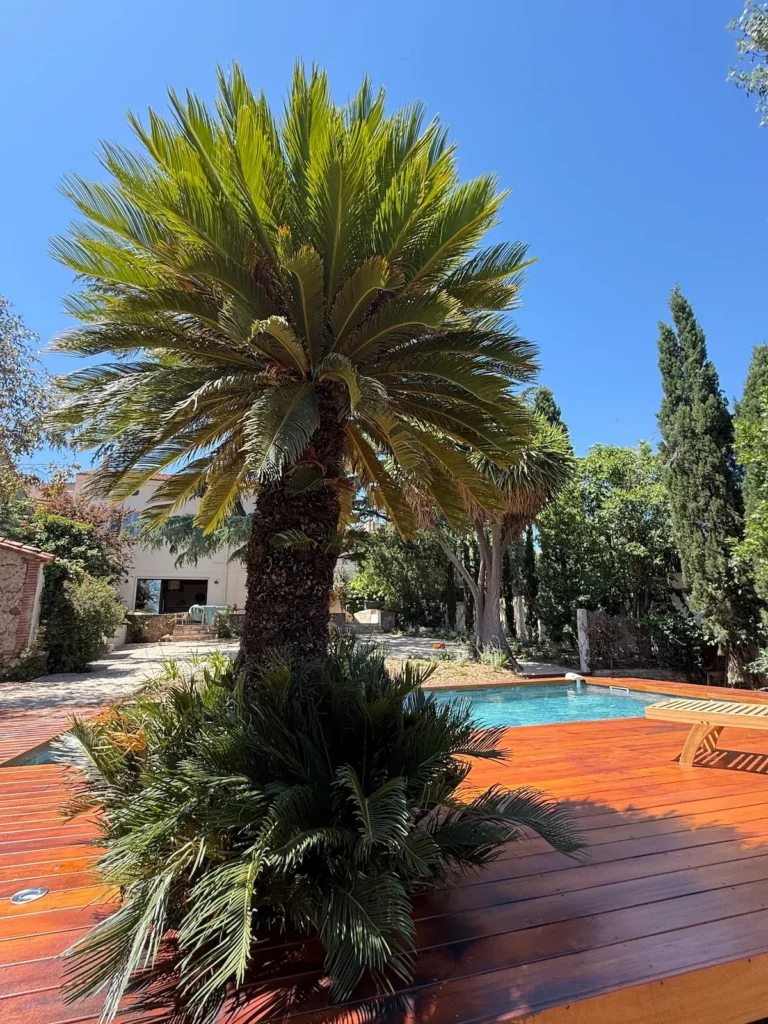 Swimming pool – Le Domaine du Mas du Cèdre