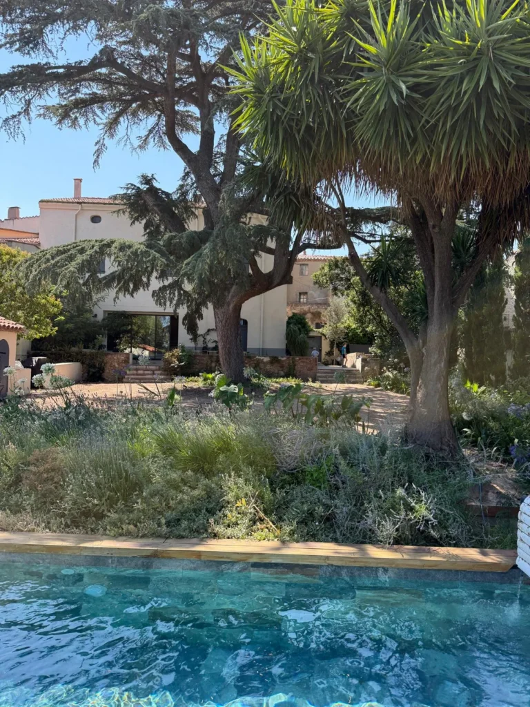 Swimming pool – Le Domaine du Mas du Cèdre