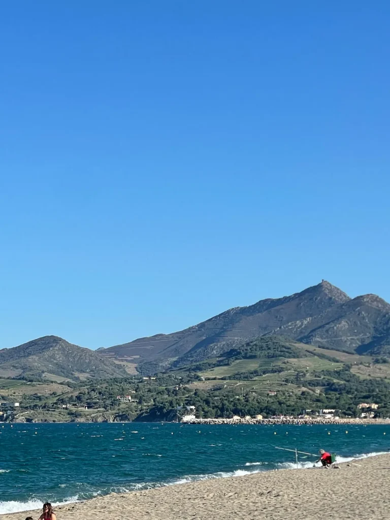 View of the estate – Le Domaine du Mas du Cèdre