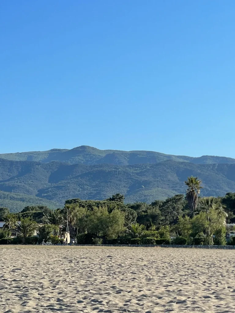 View of the estate – Le Domaine du Mas du Cèdre