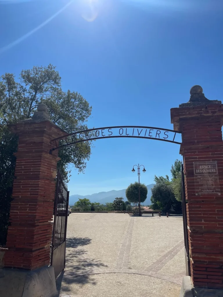 View of the estate – Le Domaine du Mas du Cèdre
