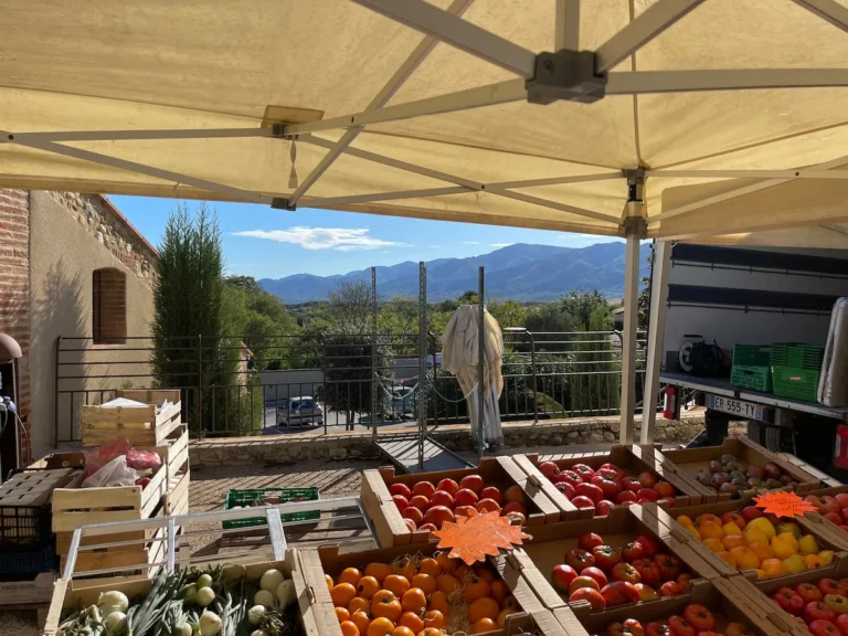 Tresserre market – Le Domaine du Mas du Cèdre