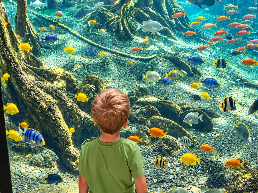 Enfant devant un aquarium et une forêt tropicale (visuel d’ambiance)