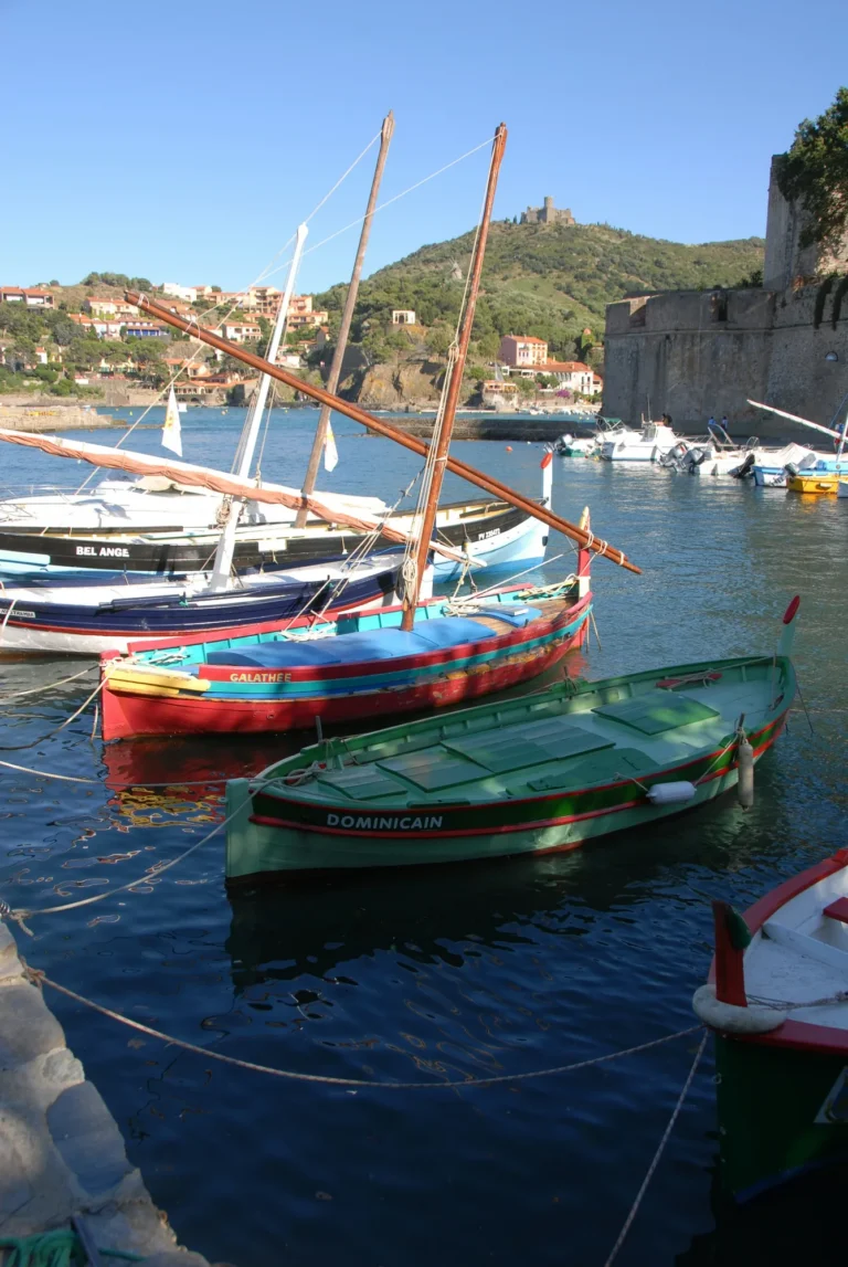 Barques catalanes colorées dans le port de Collioure, au pied du château royal