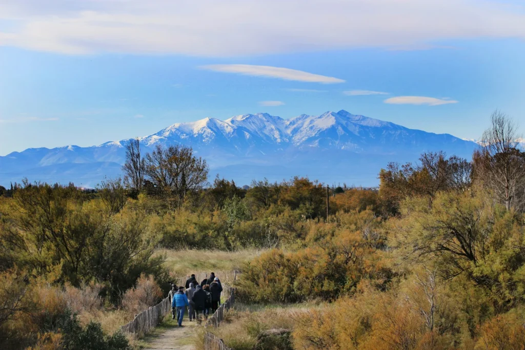 Le Canigou, montagne emblématique des Catalans